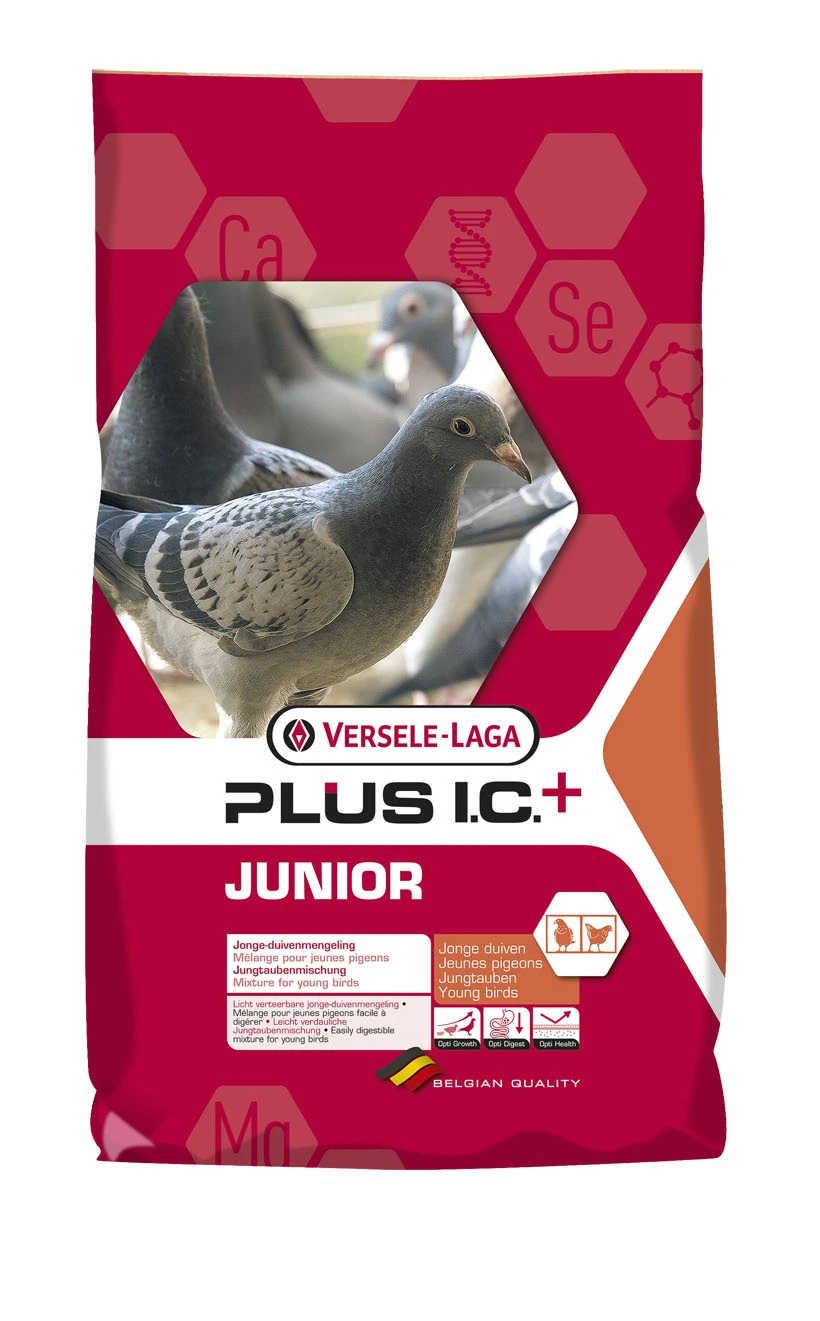 Versele Junior Plus I.C.⁺ 20kg 4 Versele Junior Plus I.C.⁺ 20kg – Bild 2