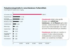 Versele Junior Plus I.C.⁺ 20kg 8 Versele Junior Plus I.C.⁺ 20kg -Taubenbedarf Geschäft antioxidantien 17