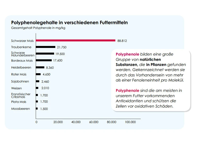 Versele Junior Plus I.C.⁺ 20kg 5 Versele Junior Plus I.C.⁺ 20kg – Bild 3