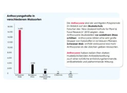 Versele Superstar Plus IC+ Black Label 20kg -Taubenbedarf Geschäft antioxidantien 214