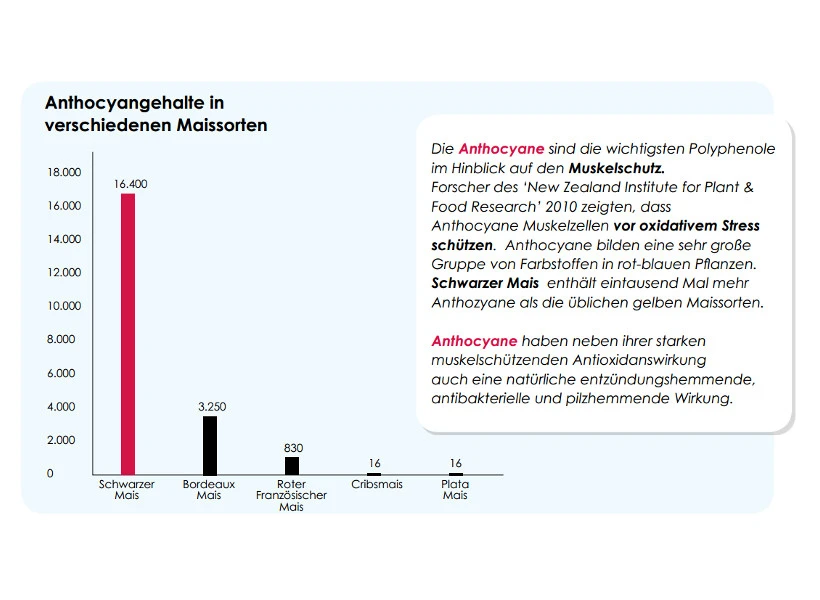 Versele Junior Plus I.C.⁺ 20kg 6 Versele Junior Plus I.C.⁺ 20kg – Bild 4