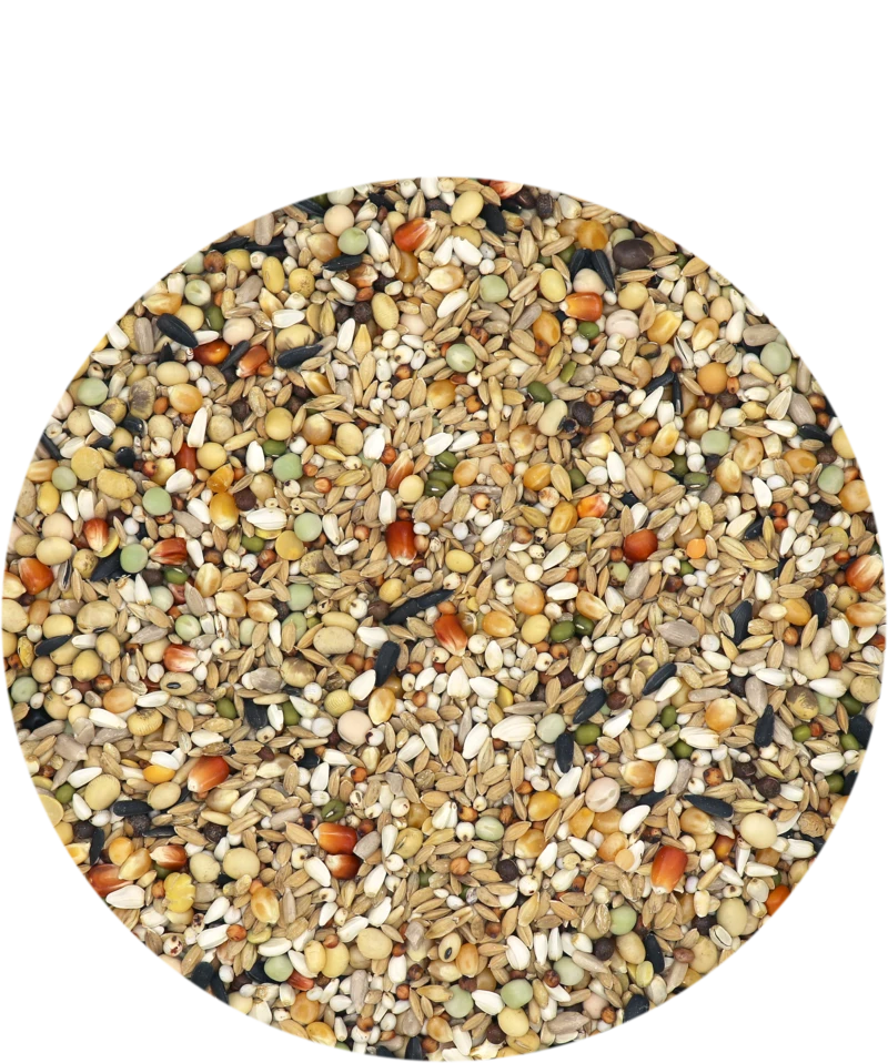 Versele Hirn 2 20kg 3 Versele Hirn 2 20kg