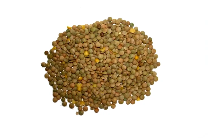 Linsen - Vanrobaeys 25kg 3 Linsen - Vanrobaeys 25kg