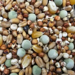 Taubenbedarf Geschäft 11 Paloma Nr.49 Super Zucht U. Jungt. Mit Mais 25kg