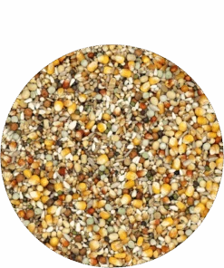 Versele Reise Active Life 25kg