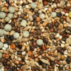 Taubenbedarf Geschäft 9 Spinne Rasse K - Kurzschnäbler 25kg