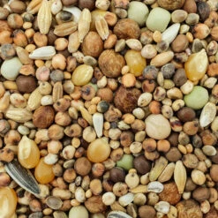 Taubenbedarf Geschäft 14 Spinne Stipsky Mischung - Tümmler 25kg