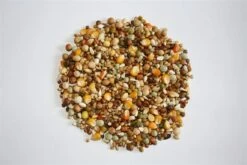 Versele Start Plus I.C.⁺ 20kg