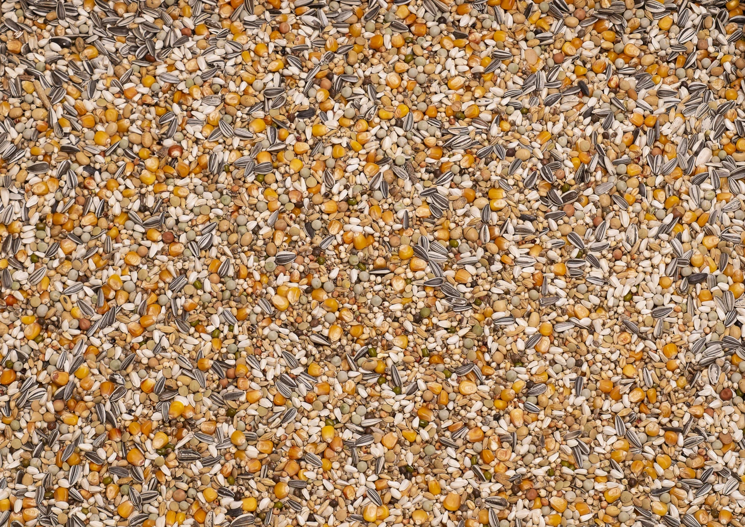 Beyers Prange "Grand Prix" 25kg 3 Beyers Prange "Grand Prix" 25kg